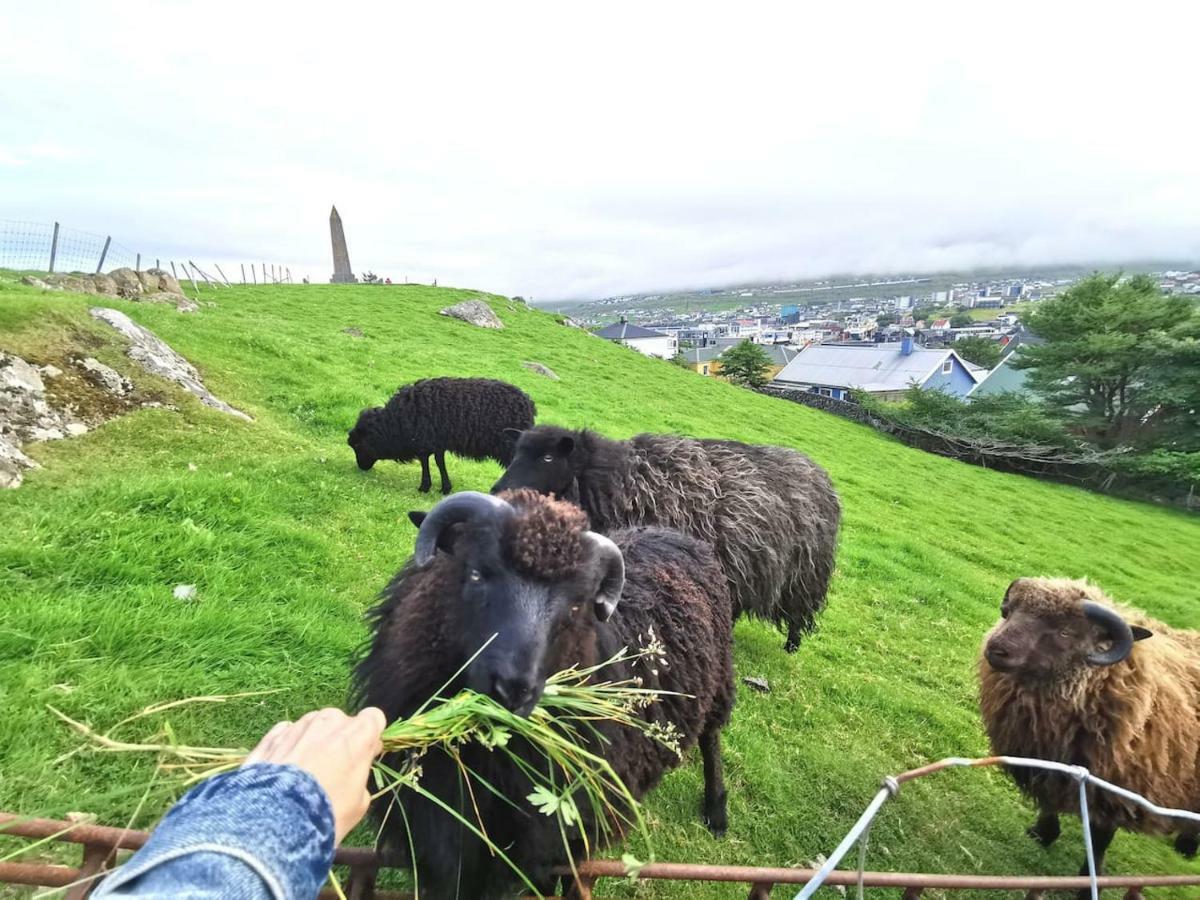 A Green Pearl In The Heart Of Torshavn Bagian luar foto